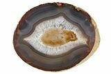 Gorgeous, Cut Agate Nodule On Metal Stand #206970-4